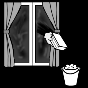 clean the windows
